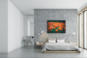 Modern Glass Picture - Contemporary Wall Art SART04 Flowers and leaves Series: Meadow of red orange tulips