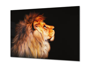Wall Art - Glass Print Canvas Picture SART03B Animals Series: African lion