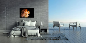 Wall Art - Glass Print Canvas Picture SART03B Animals Series: African lion
