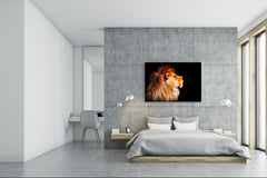 Wall Art - Glass Print Canvas Picture SART03B Animals Series: African lion