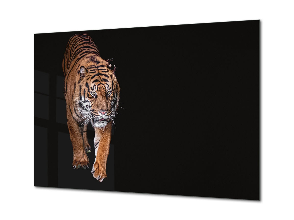 Wall Art - Glass Print Canvas Picture SART03B Animals Series: Tiger walking