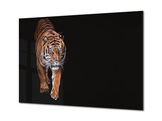 Wall Art - Glass Print Canvas Picture SART03B Animals Series: Tiger walking