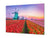 Graphic Art Print on Glass - Beautiful Quality Glass Print Picture SART01C Nature Series: Colourful tulips in a Dutch countryside