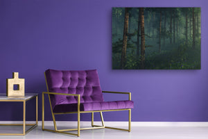 Glass Print Wall Art – Image on Glass SART01B Nature Series: Trees in a haze of light