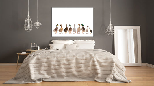 Wall Art - Glass Print Canvas Picture SART03B Animals Series: Beautiful white ducks