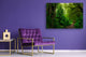 Modern Glass Picture - Contemporary Wall Art SART01 Nature Series: Tropical forest