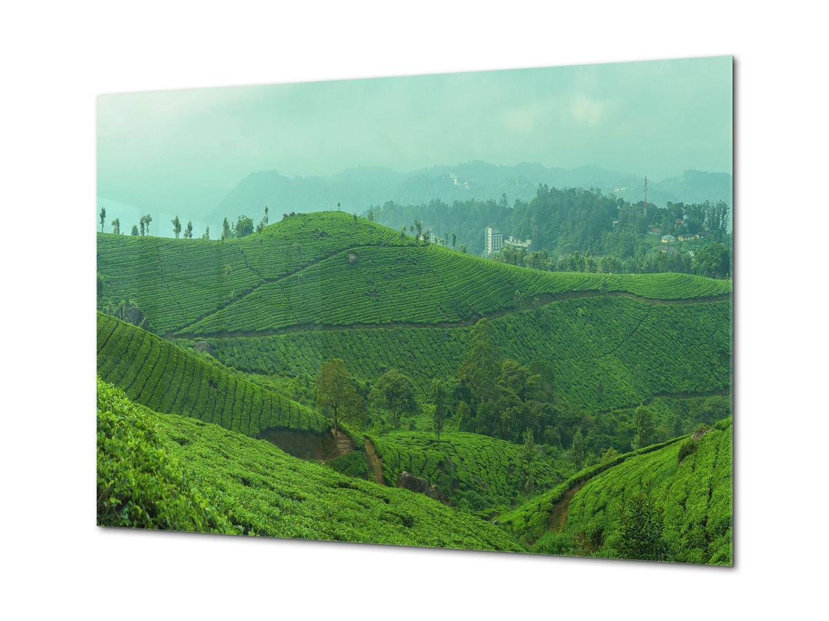 Modern Glass Picture - Contemporary Wall Art SART01 Nature Series: Tea plantations in India