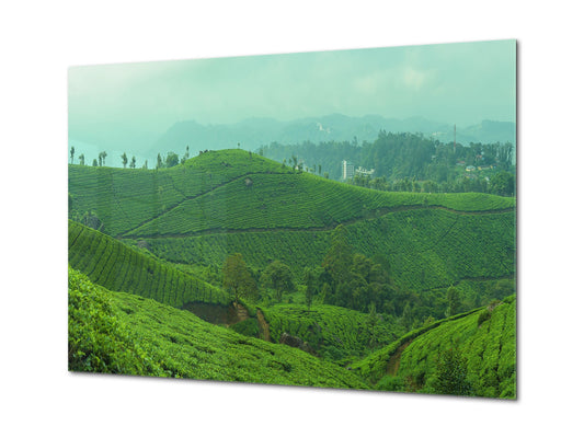 Modern Glass Picture - Contemporary Wall Art SART01 Nature Series: Tea plantations in India