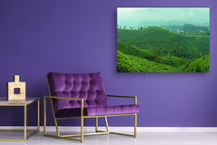 Modern Glass Picture - Contemporary Wall Art SART01 Nature Series: Tea plantations in India