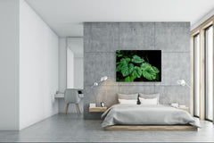 Modern Glass Picture - Contemporary Wall Art SART04 Flowers and leaves Series: Tropical plants