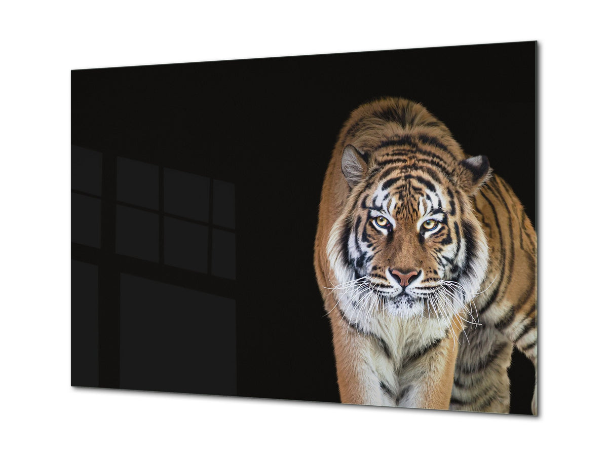 Wall Art - Glass Print Canvas Picture SART03B Animals Series: Tiger 2