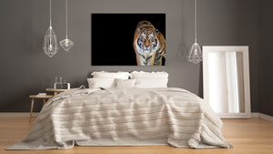 Wall Art - Glass Print Canvas Picture SART03B Animals Series: Tiger 2