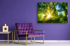 Cuadro de vidrio moderno - Arte mural contemporáneo SART01 Serie Naturaleza: Bosque verde vibrante