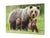 Glass Picture Wall Art - Picture on Glass SART03A Animals Series: Bear family