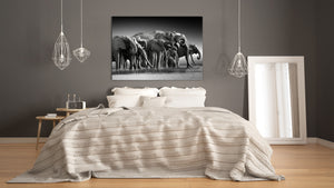 Glass Picture Wall Art - Picture on Glass SART03A Animals Series: Botswana safari