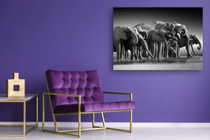 Glass Picture Wall Art - Picture on Glass SART03A Animals Series: Botswana safari