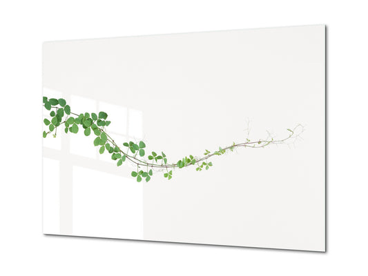 Modern Glass Picture - Contemporary Wall Art SART04 Flowers and leaves Series: Ivy plant on the white background