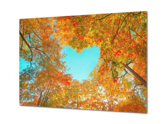 Modern Glass Picture - Contemporary Wall Art SART01 Nature Series: Autumn tree crowns