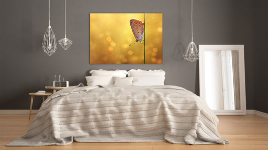 Wall Art - Glass Print Canvas Picture SART03B Animals Series: Beautiful butterfly on a field grass 1