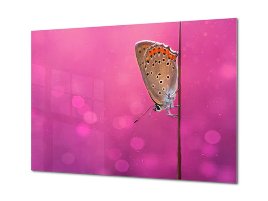 Wall Art - Glass Print Canvas Picture SART03B Animals Series: Beautiful butterfly on a field grass 2