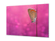 Wall Art - Glass Print Canvas Picture SART03B Animals Series: Beautiful butterfly on a field grass 2