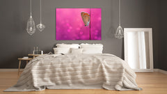 Wall Art - Glass Print Canvas Picture SART03B Animals Series: Beautiful butterfly on a field grass 2