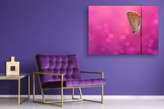 Wall Art - Glass Print Canvas Picture SART03B Animals Series: Beautiful butterfly on a field grass 2