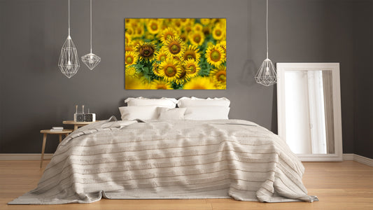 Modern Glass Picture - Contemporary Wall Art SART04 Flowers and leaves Series: Beautiful sunflower field