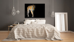 Wall Art - Glass Print Canvas Picture SART03B Animals Series: Young sumatran tiger