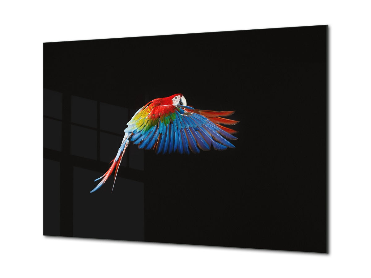 Wall Art - Glass Print Canvas Picture SART03B Animals Series: Beautiful colourful parrot