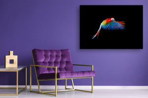 Wall Art - Glass Print Canvas Picture SART03B Animals Series: Beautiful colourful parrot