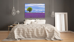 Glass Print Wall Art – Image on Glass SART01B Nature Series: Lavender field