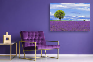 Glass Print Wall Art – Image on Glass SART01B Nature Series: Lavender field