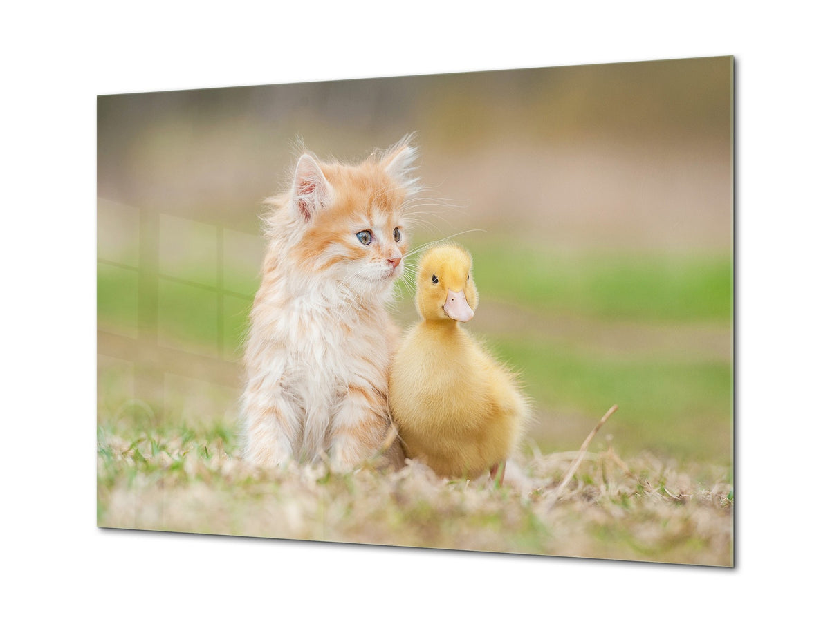 Wall Art - Glass Print Canvas Picture SART03B Animals Series: Red kitten with little duckling