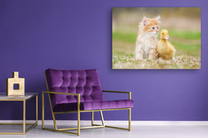 Wall Art - Glass Print Canvas Picture SART03B Animals Series: Red kitten with little duckling