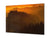 Glass Printed Picture - Wall Picture behind Tempered Glass SART01D Nature Series: Foggy forest at sunset