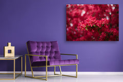 Modern Glass Picture - Contemporary Wall Art SART04 Flowers and leaves Series: Spring blossom tree