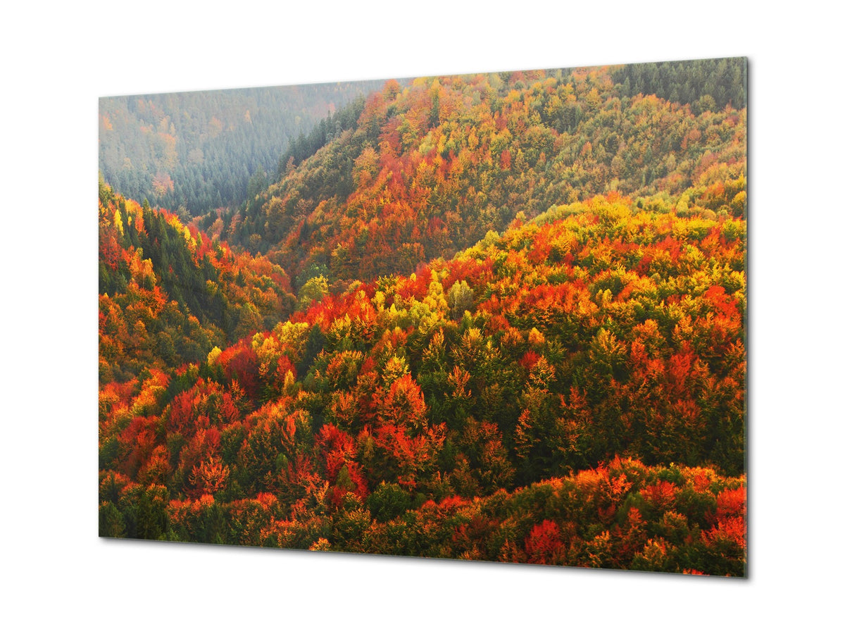Modern Glass Picture - Contemporary Wall Art SART01 Nature Series: Beautiful autumn in Czech Republic