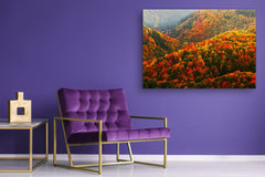 Modern Glass Picture - Contemporary Wall Art SART01 Nature Series: Beautiful autumn in Czech Republic