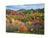 Modern Glass Picture - Contemporary Wall Art SART01 Nature Series: Colorful autumn forest