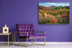 Modern Glass Picture - Contemporary Wall Art SART01 Nature Series: Colorful autumn forest