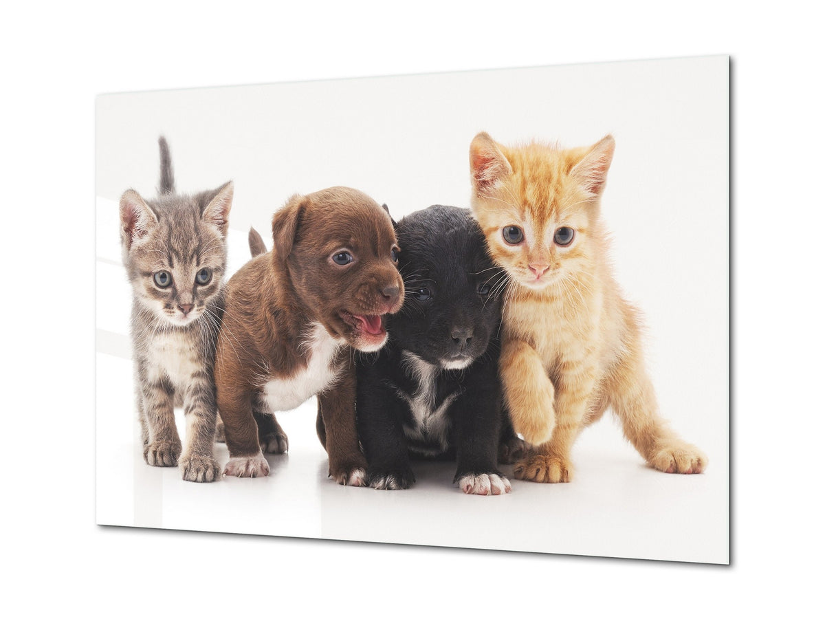 Glass Picture Wall Art - Picture on Glass SART03A Animals Series: Kittens and puppies