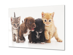 Glass Picture Wall Art - Picture on Glass SART03A Animals Series: Kittens and puppies