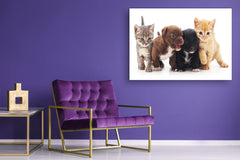 Glass Picture Wall Art - Picture on Glass SART03A Animals Series: Kittens and puppies