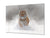 Glass Picture Wall Art - Picture on Glass SART03A Animals Series: Tiger in wild winter nature