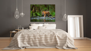 Glass Picture Wall Art - Picture on Glass SART03A Animals Series: Tiger walking in the water