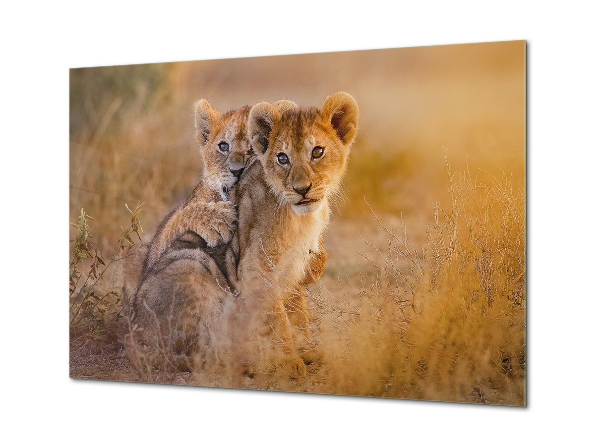 Glass Picture Wall Art - Picture on Glass SART03A Animals Series: Lion cubs playing
