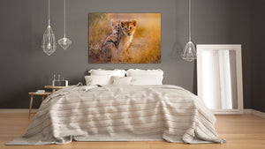 Glass Picture Wall Art - Picture on Glass SART03A Animals Series: Lion cubs playing