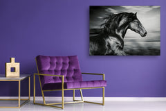 Glass Picture Wall Art - Picture on Glass SART03A Animals Series: Black and white horse