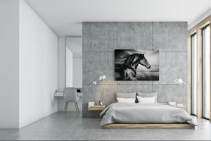 Glass Picture Wall Art - Picture on Glass SART03A Animals Series: Black and white horse